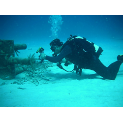 Digital U.w. Photographer Level 1 Specialty Course